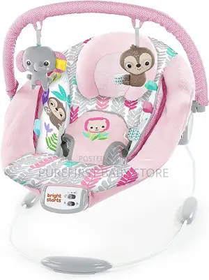 Bright Start Comfy Baby Bouncer