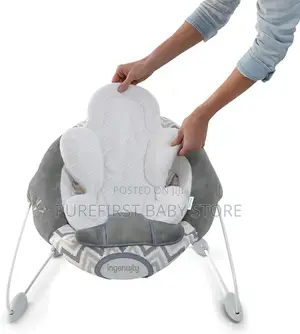 Ingenuity Baby Bouncer