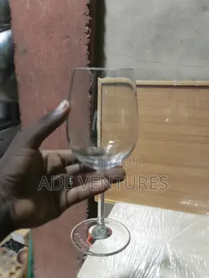 Acrylic Wine Cup