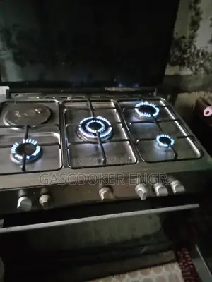 Gas Cooker Repair/Maintenance