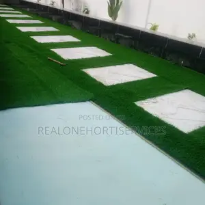 Grass For Lawn, Border Installation And Artificial Plant