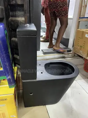 England Black Wc With Basin and Stand
