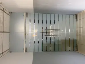 Double Panel Glass Door