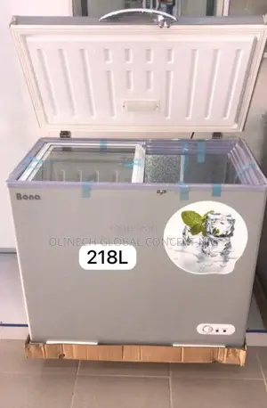 Bona AC DC Solar Powered Chest Deep Freezer