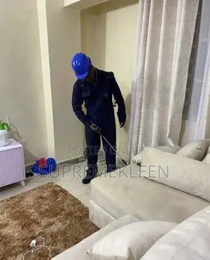 Fumigation And Cleaning Service