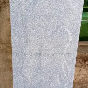 250X500 High Quality Nigeria Outside Wall Tiles