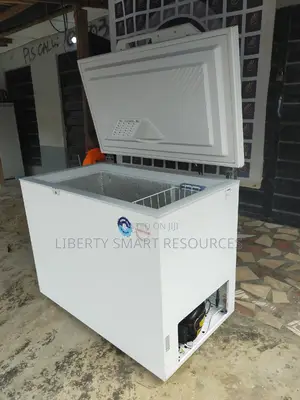 Liebherr Deep Freezer (For Ice Block Frozen Foods)