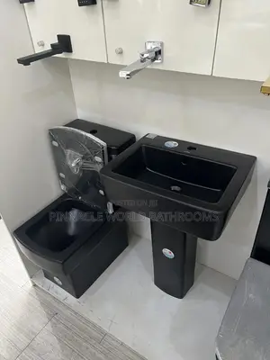 Executive Black Wc With Basin and Stand 092