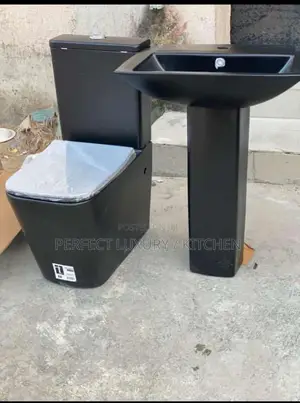 Black Quality Water Closet