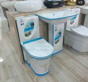 Choice Blue and White Designed Water Closet