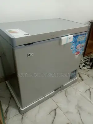 Lg Chest Freezer 320df Silver