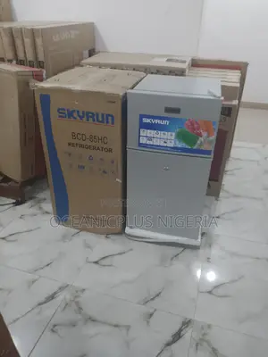 Budget Friendly Brand New Skyrun Double Door Refrigerator