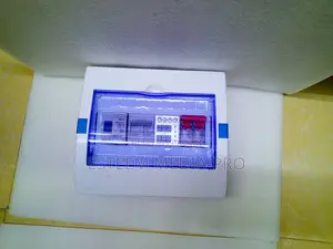 Voltage Protector With Bypass Function