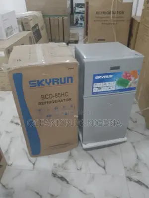 Top Selling Brand New Double Door Skyrun Refrigerator