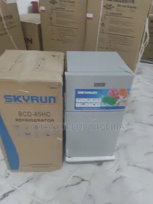 Brand New Affordable Skyrun Double Door Refrigerator 