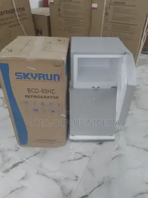 Best-Selling-Affordable-Skyrun-Double-Door-Fridge-in-Stock