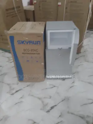 Top-Selling-Brnad-New-Skyrun-Double-Door-Refrigerator