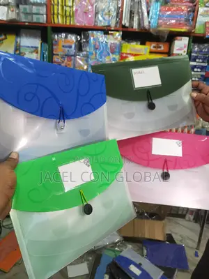 Expanding File Folder (Available in Different Colors)