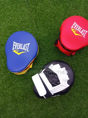 Fairly Used Everlast Boxing Pads , Boxing Mitt's or Coach Pads