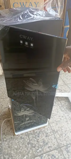 Cway Water Dispenser