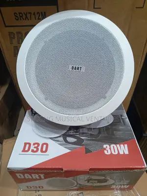 30w Ceiling Speaker Dart