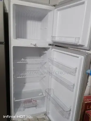Skyrun Low Voltage Standing Fridge Fashion Series 2024 Model