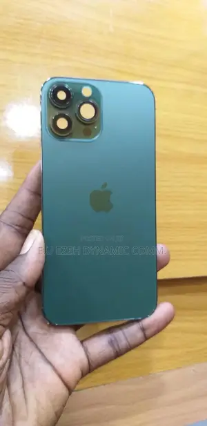 Xr Converter to 13 Pro Casing