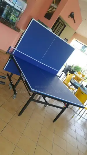 Imported Table Tennis Board Set
