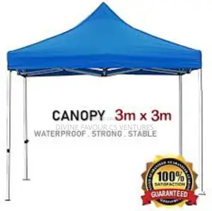 Portable Canopy Collapsible Gazebo 10 X 10