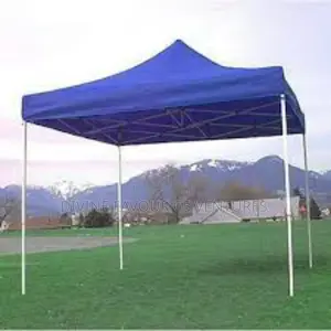 Foldable Canopy Collapsible Gazebo 10 X 10