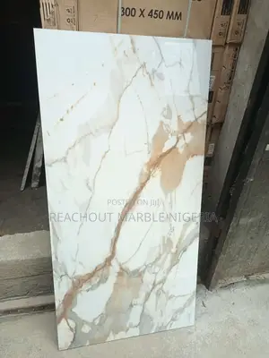 Imported Tiles 60*120