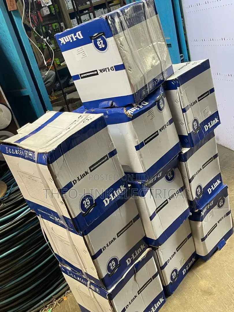 D-Link Cat6 Cable