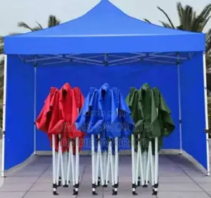 Foldable Gazebo With Side Walls 10*10feet