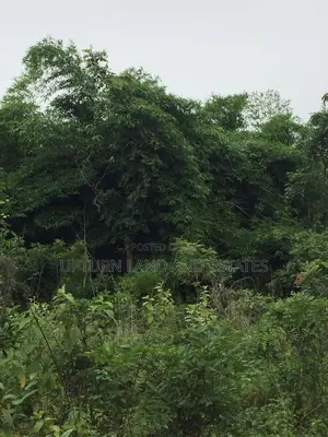 300 Acres of Land for Sale at Cheap Price Four Hundred Thousa