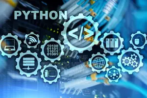 Master Python in One Day and Do It Well