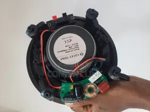 Original 40watts Subwoofer Ceiling/Pop Speakers