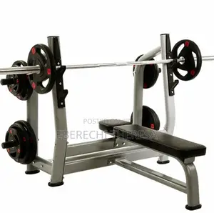 Olympic Standard Weight Lifting Bench