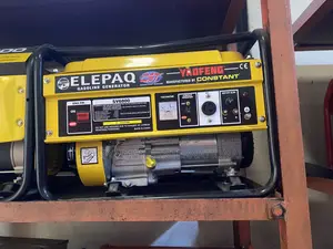 Elepaq Constant Generator 4kva Copper Coil
