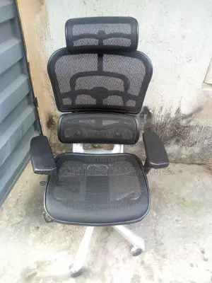 Brand New Ergonomic Mesh Chair