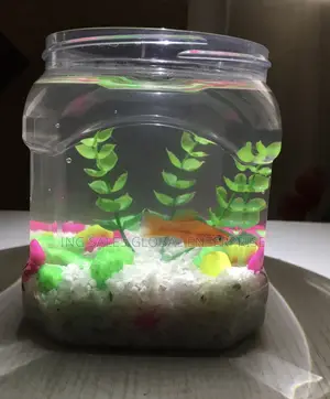 Plastic Fish Bowl Kit + Fish Feed and Water Treatment