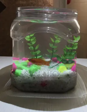 Container Fish Bowl Kit With Water Treatment and Feed