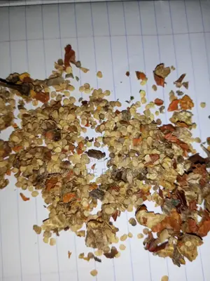 Garden Egg Seeds for Planting