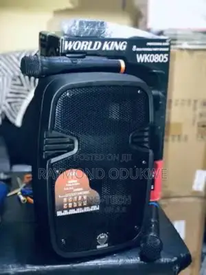 8" Inches Rechargeable PA System