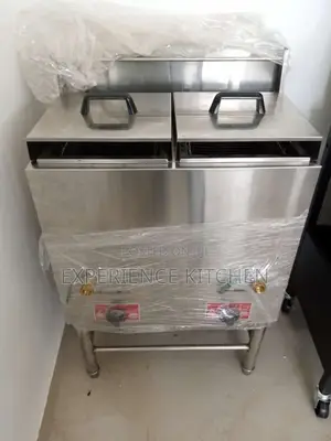 Standing Deep Fryer 20+20l
