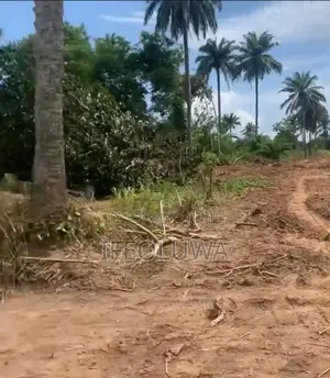 5 Acres of Virgin Land for Sale at Ibadan