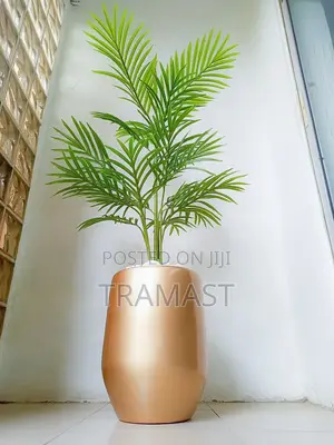 Single Palm Plant Potted With Gold Fiberglass Pot -height 15
