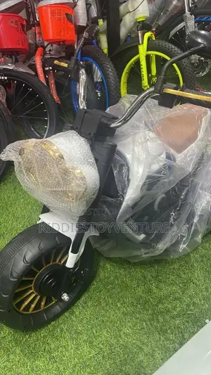 Warrior Bike