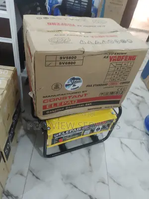 4.5kva Available Elepaq Constant Manual Generator Sv6800