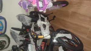 Dragon and Warrior Bicycles Size 20