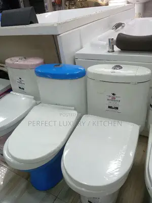 (Rockford) Plain White Children W.C Water Closet